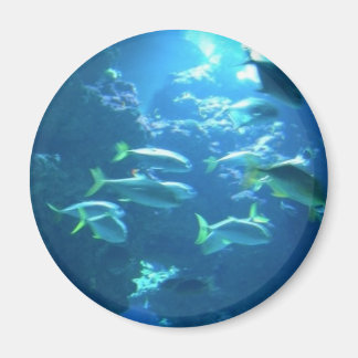 Tropical Fish Magnet