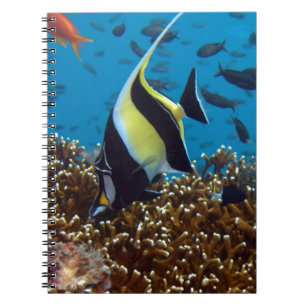Tropical fish notebook