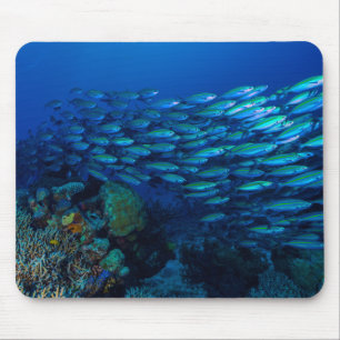 Tropical Fish of the Coral Sea Mousepad