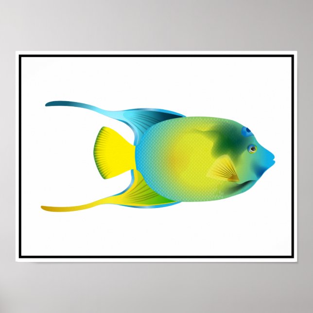 Tropical Fish Poster (Front)