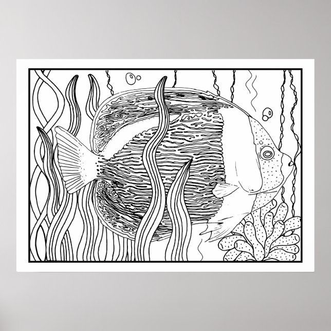 Tropical Fish Sealife DIY Colouring Poster (Front)