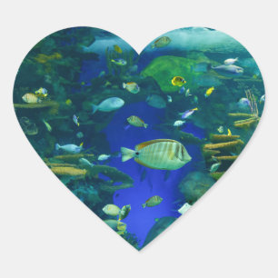 Tropical fish Stickers