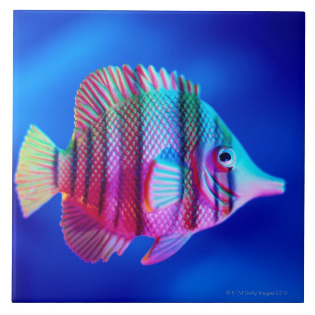 Tropical Fish Tile (Front)