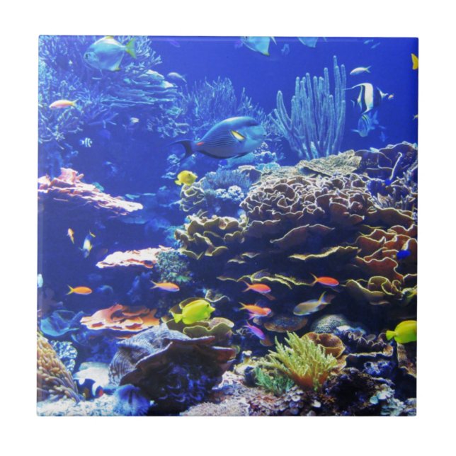 Tropical Fish Tile (Front)