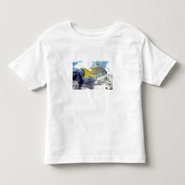 Tropical Fish Toddler T-Shirt (Front)