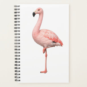 Tropical Flamingo and Macaw Parrot Dual Cover Planner