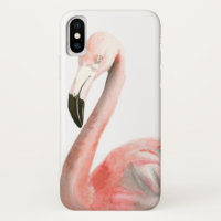 Tropical Flamingo Bird
