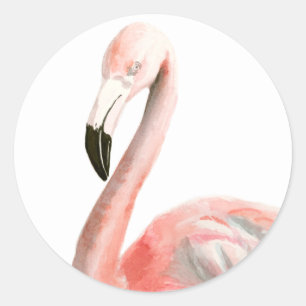 Tropical Flamingo Bird Classic Round Sticker