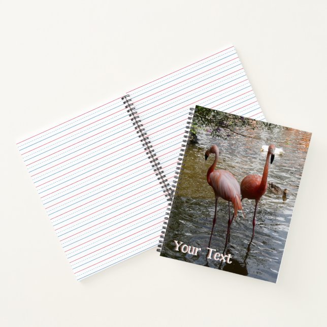 Tropical Flamingo Birds Cust. Text Notebook (Inside)