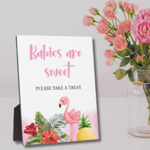 Tropical Flamingo Pink Babies are Sweet Sign Plaque