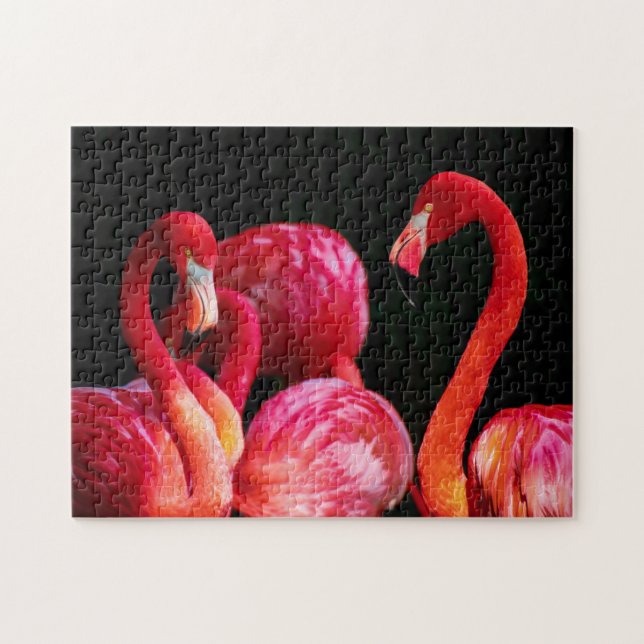 Tropical Flamingos Puzzle (Horizontal)