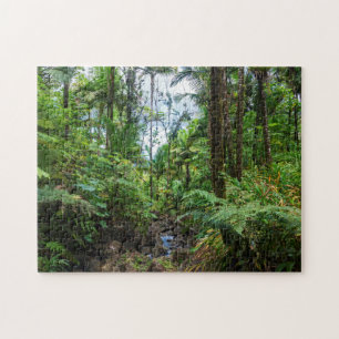 Tropical flora of el yunque rainforest jigsaw puzzle