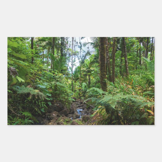 Tropical flora of el yunque rainforest rectangular sticker (Front)