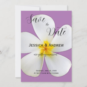 Tropical Floral, White Plumeria, Lavender, Wedding Save The Date