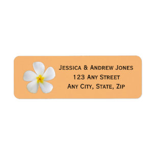 Tropical Floral, White Plumeria Orange, Wedding