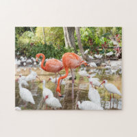 Tropical Florida Pink Flamingos Scenic