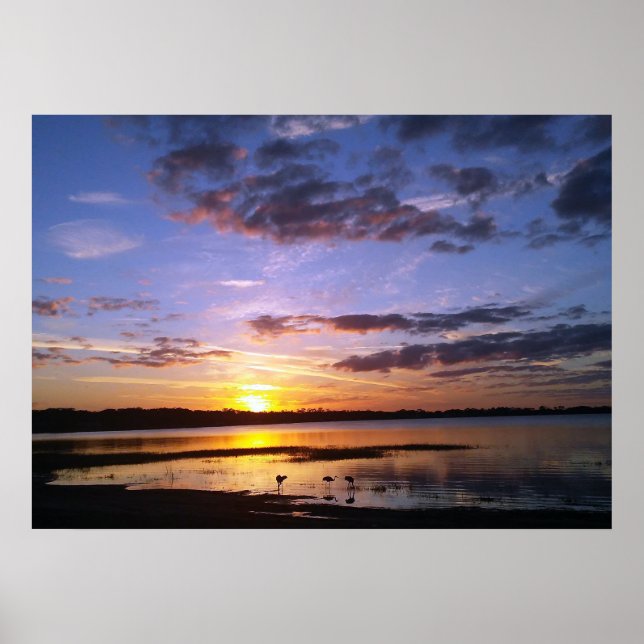 Tropical Florida Sunset Landscape Poster Photo Art (Front)