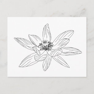 Tropical Flower Adult Colouring Postcard