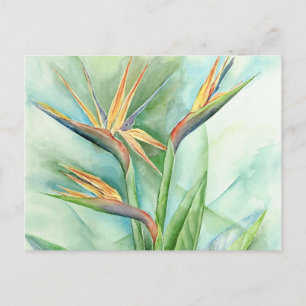 Tropical Flower Bird Of Paradise Painting - Multi Postcard