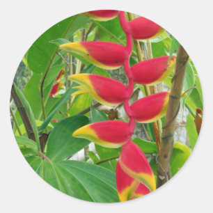Tropical flower classic round sticker