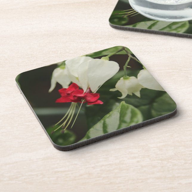Tropical Flower Coaster Set (Left Side)