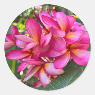 Tropical Flower Sticker