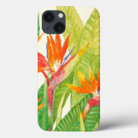 Tropical Flowers | Bird of Paradise