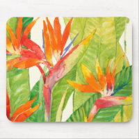 Tropical Flowers | Bird of Paradise