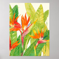 Tropical Flowers | Bird of Paradise