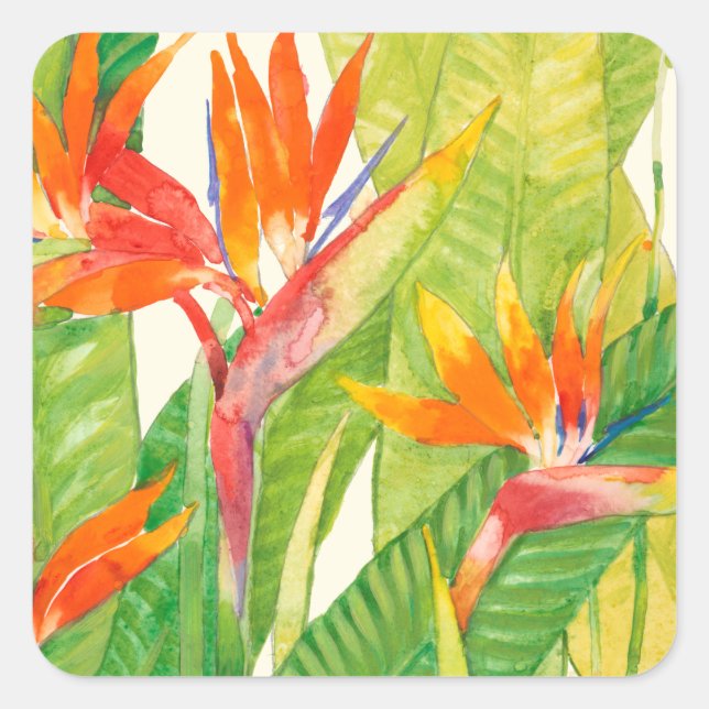 Tropical Flowers | Bird of Paradise Square Sticker (Front)