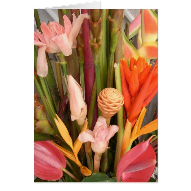 Tropical flowers - Blank Card (Front)