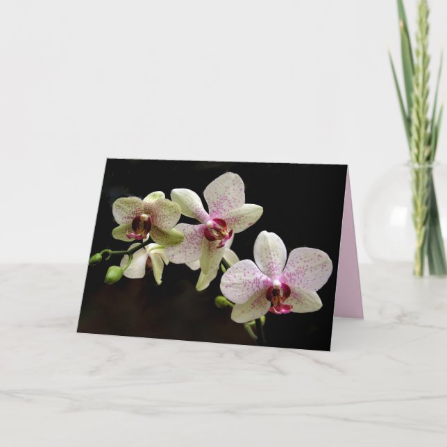 tropical flowers greeting card (Front)
