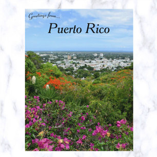 Tropical Flowers in Ponce Puerto Rico Postcard