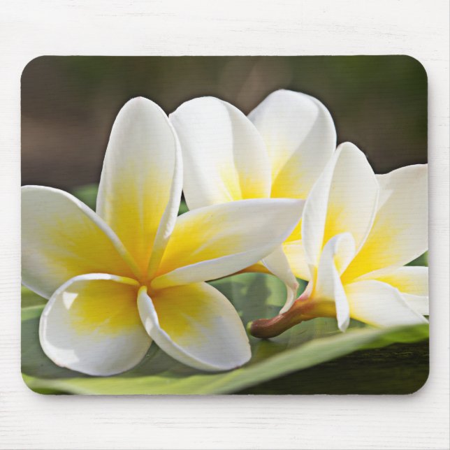 Tropical Flowers Mouse Pad (Front)