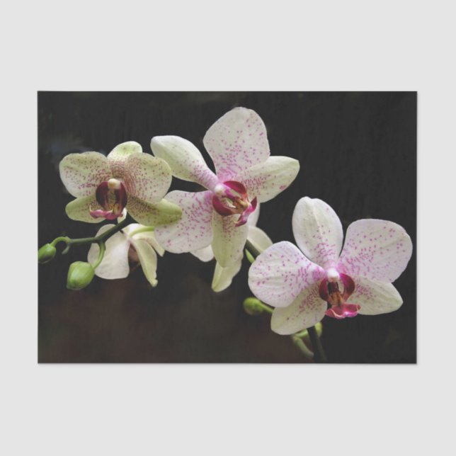 tropical flowers tissue paper (Front)