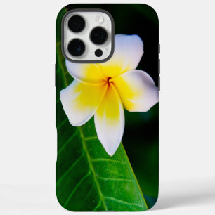 Tropical Frangipani Botanical Photo iPhone 16 Pro Max Case