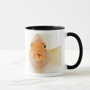 Tropical freshwater fish mug