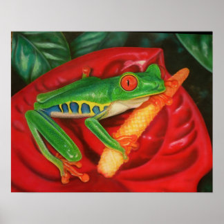 Tropical Frog Poster