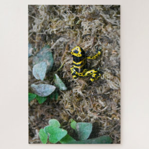 Tropical Frogs. Jigsaw Puzzle