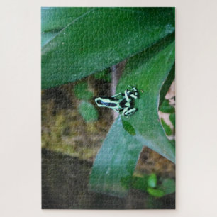 Tropical Frogs. Jigsaw Puzzle