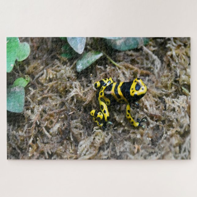 Tropical Frogs. Jigsaw Puzzle (Horizontal)