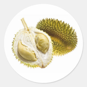 Tropical fruit - Durian Classic Round Sticker