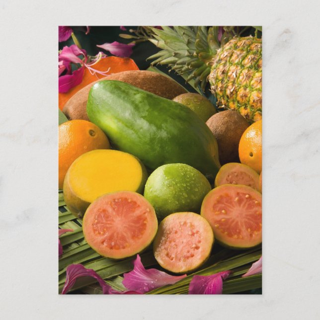 Tropical Fruits Postcard (Front)