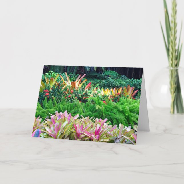 Tropical Garden Card (Front)