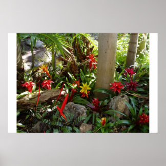 Tropical Garden Poster