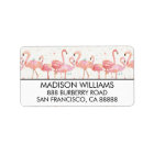 Tropical | Gathering of Flamingos