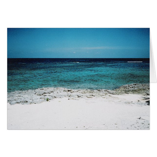 Tropical Gaze (Front Horizontal)