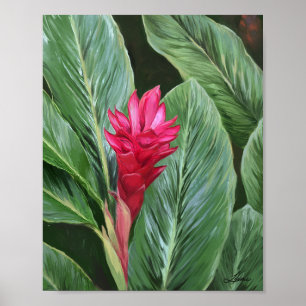Tropical Ginger Flower Poster