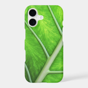 Tropical Green Leaf Nature - Simple Zen Spa Photo