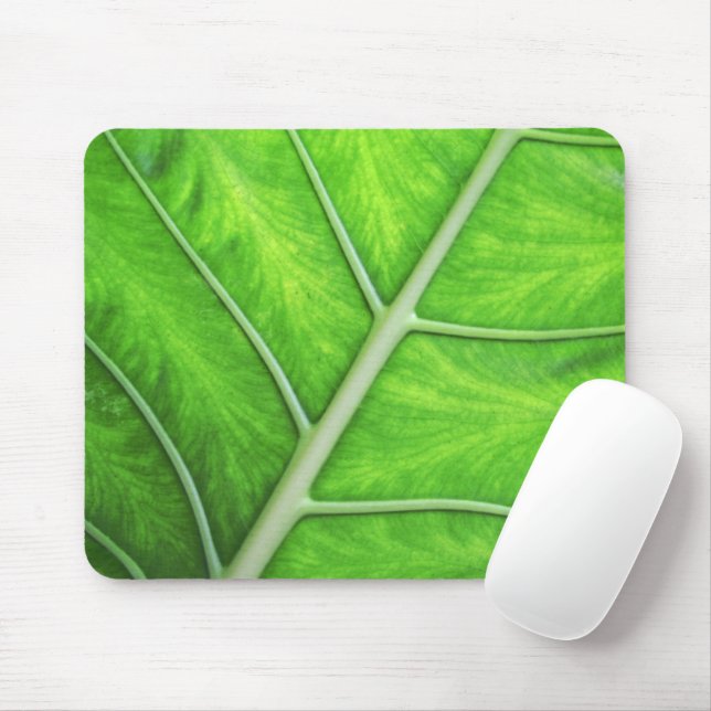 Tropical Green Leaf Texture Nature Photo Mousepad (With Mouse)